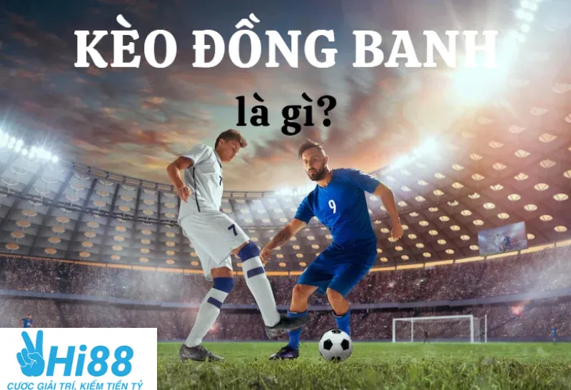 Kèo Đồng Banh Là Gì Và Cá Cược Kèo Đồng Banh Chuẩn Tại Hi88 2025 1 Đặc điểm nổi bật khi tìm hiểu kèo đồng banh là gì?